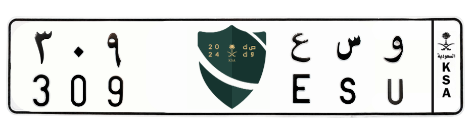 لوحة و س ع 309